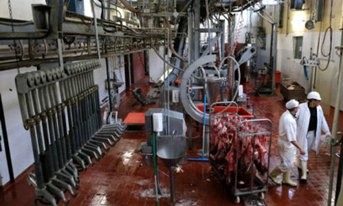 Abattoir municipal
